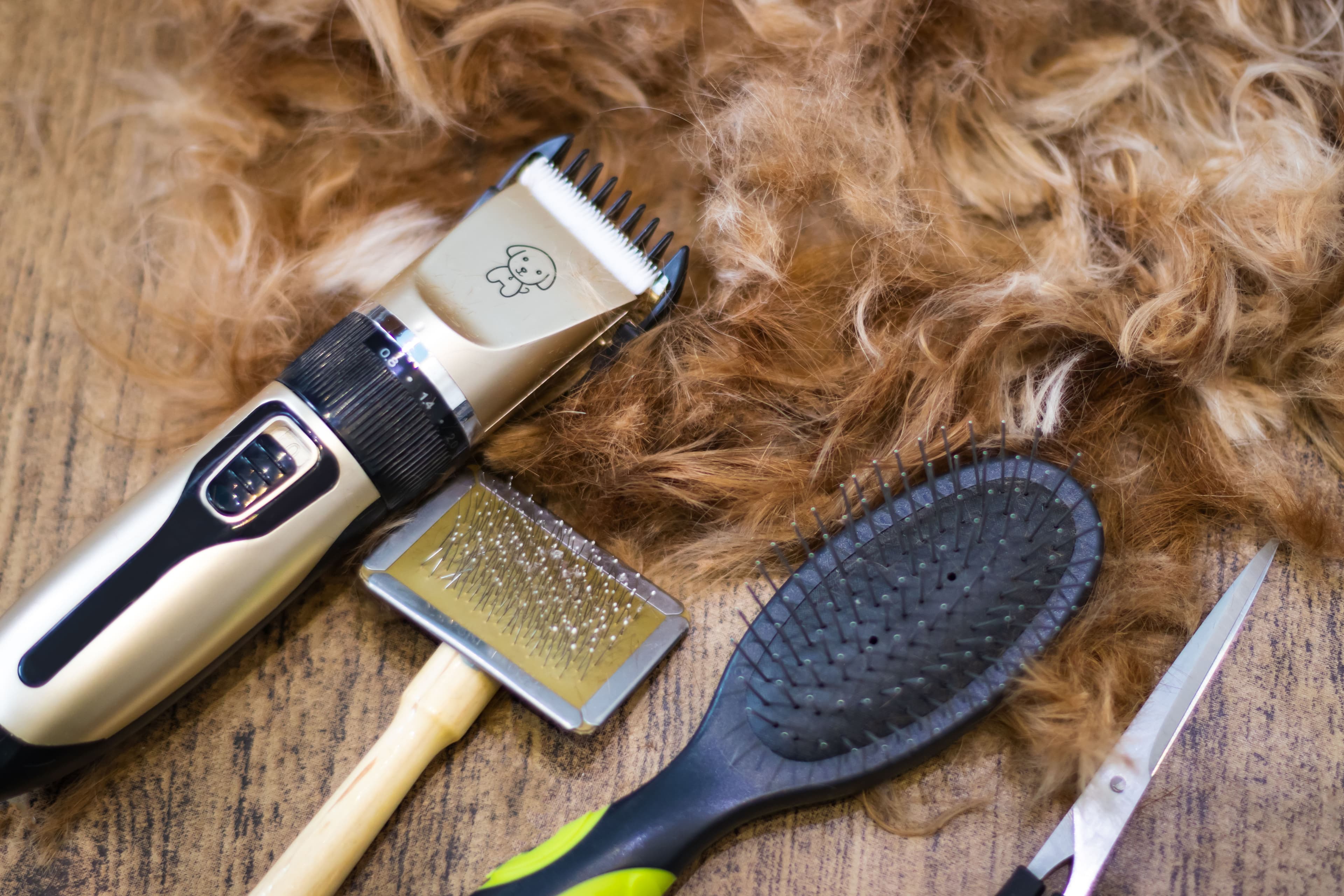 animal brush image
