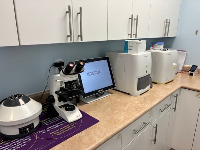 Clinic Picture 10
