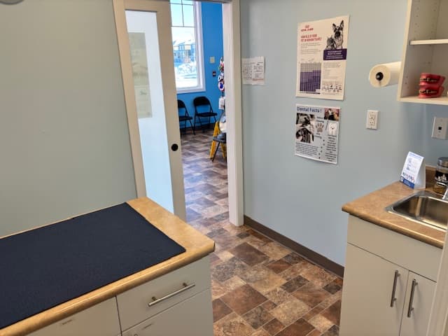 Clinic Picture 5