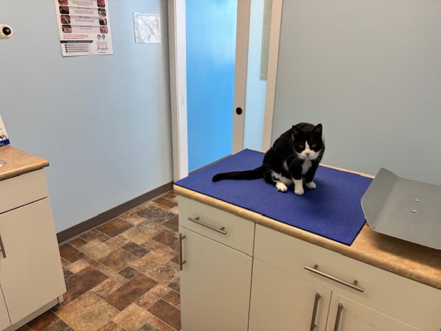 Clinic Picture 6