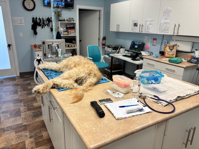 Clinic Picture 7