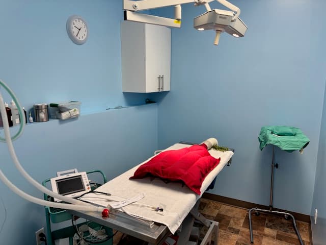 Clinic Picture 9