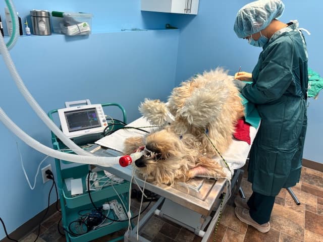 Clinic Picture 13