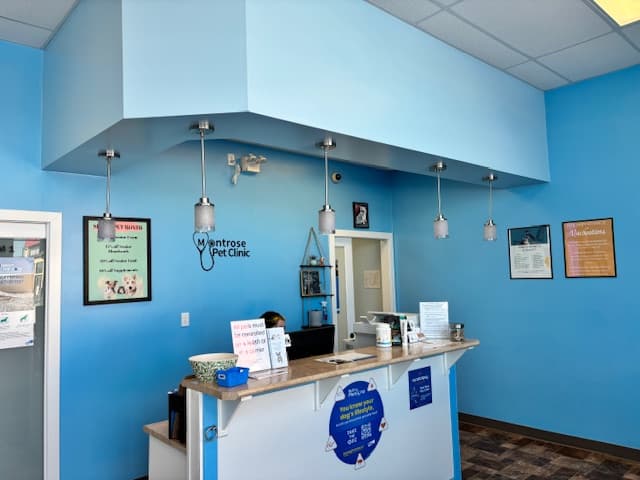 Clinic Picture 4