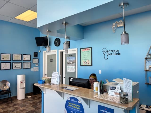 Clinic Picture 3
