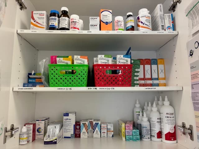 Clinic Picture 17