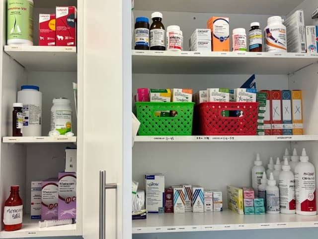Clinic Picture 18
