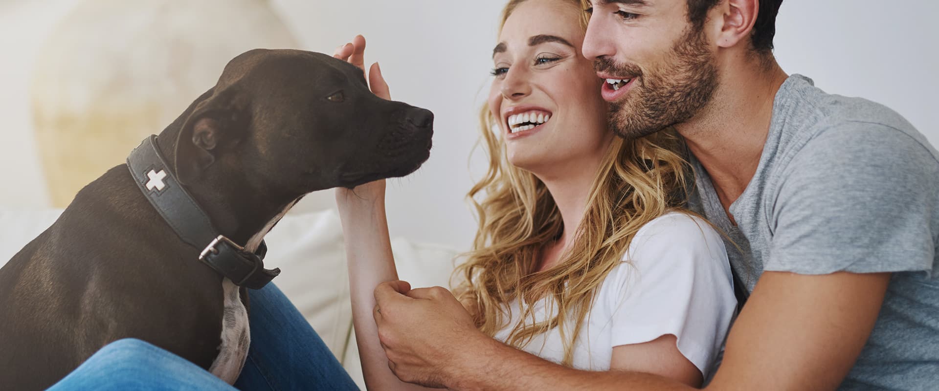 Caring for Pets is Our Passion